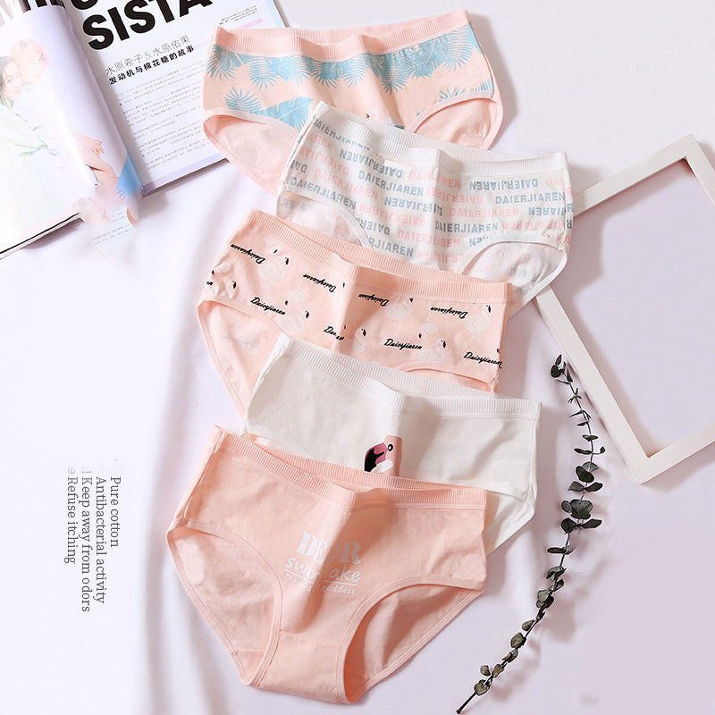 Classic cotton underwear in soft styles