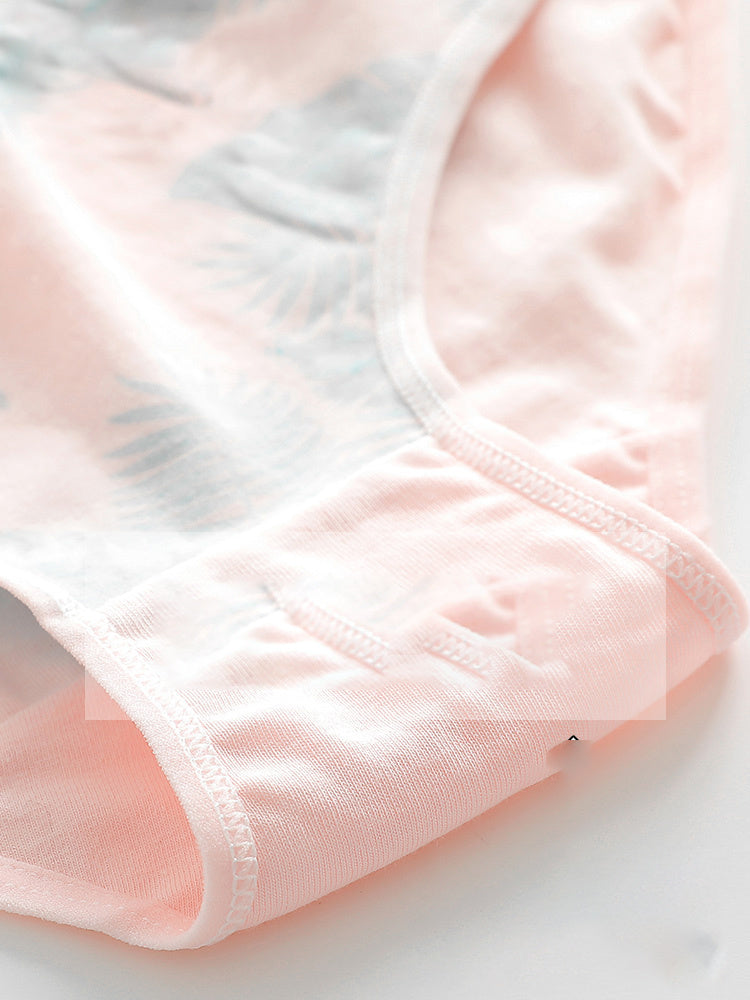 Classic cotton underwear in soft styles