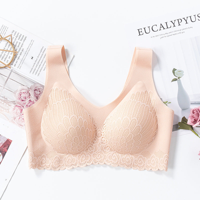 Elegant lace bra underwear