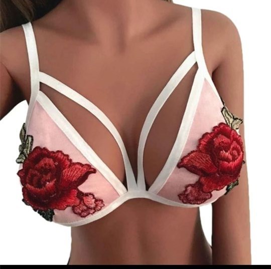 Rose embroidery lace bra set